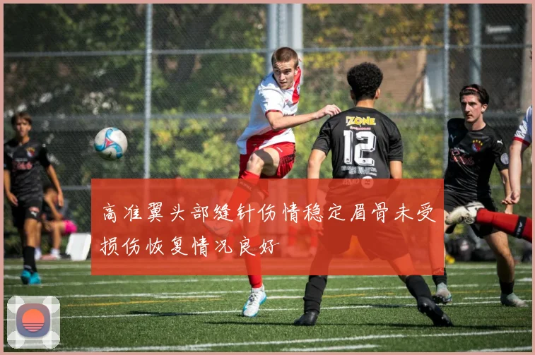 高准翼头部缝针伤情稳定眉骨未受损伤恢复情况良好
